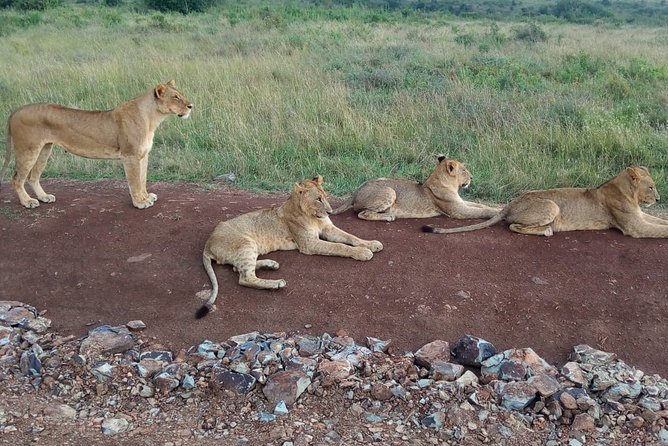 Arusha National Park Half Day Tour