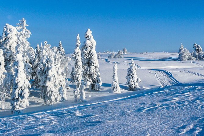 ATV Safari on Ice and Snow - Exploring Snowy Landscapes