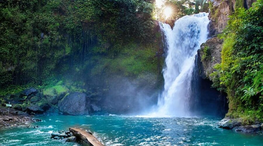 Bali: 4 Hours Customize Ubud City Tour. - Tour Overview and Pricing