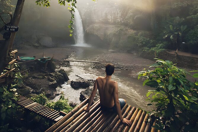 Bali Car-Charter: Half Day Ubud Waterfall Tour