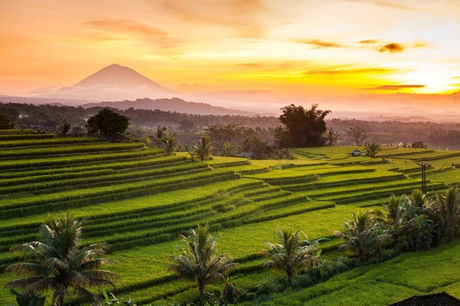 Bali : Famous Stop Handara, Jatiluwih,Secret Garden & Temple