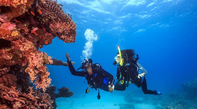 Bali Hai – PADI Advance Open Water Course in Lembongan