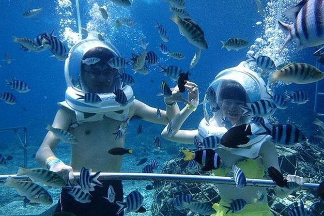 Bali Ocean Walker