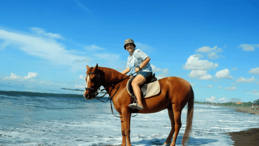Bali: Sanur Horse Riding for Beginner Experience