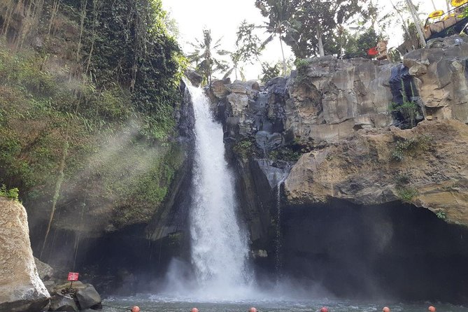 Bali Tour: Ubud Most Popular Place - Tour Highlights