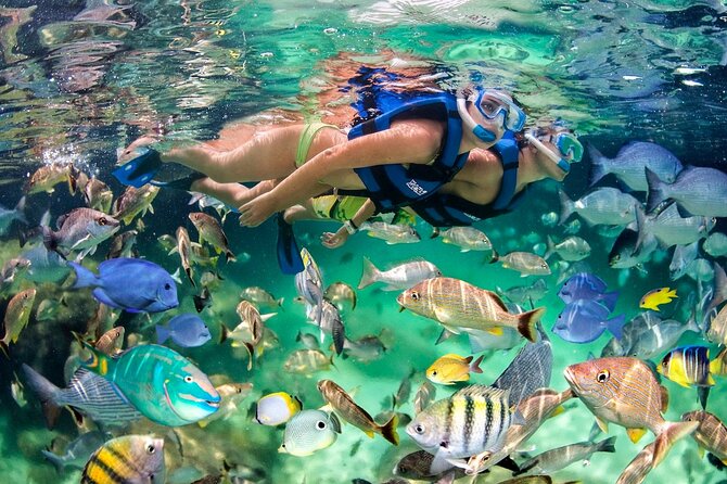 Bavaro Catamaran: Sail, Snorkel & Party With Drinks and Snacks