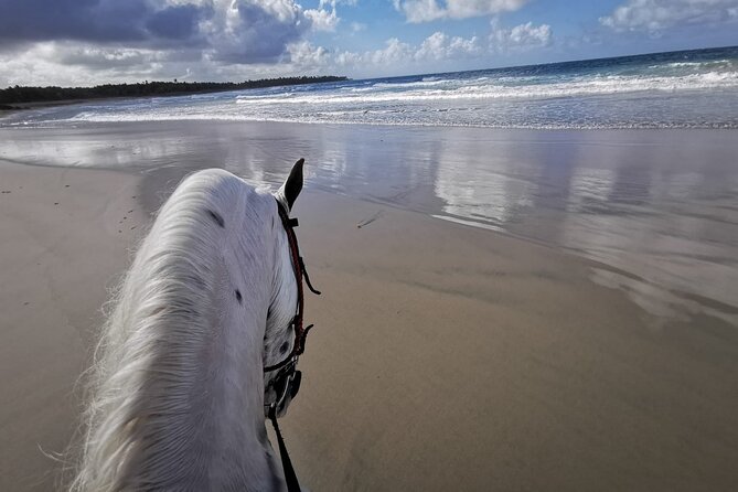 Beach Horse Ride Punta Cana – El Limon & La Sabana De Nisibon