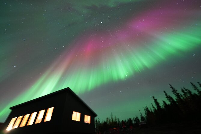 Best Alaskan Cabin Aurora Viewing With Photography @Aurora Camp