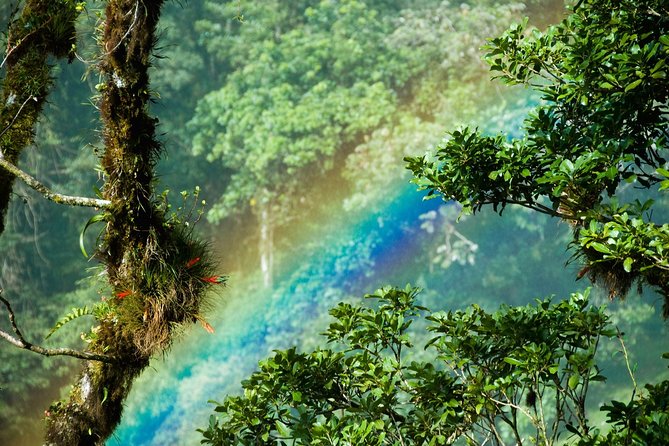 Best of Costa Rica 12D/11N Vacation Package