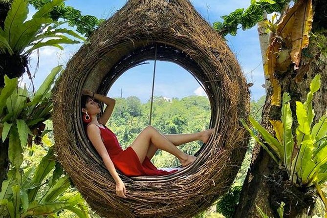 Best of Ubud Tour With Jungle Swing