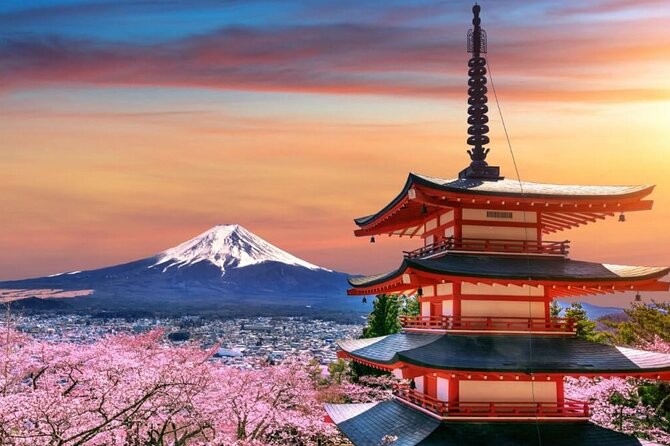 Beyond the Ordinary: Private Mount Fuji & Cherry Blossom Tour
