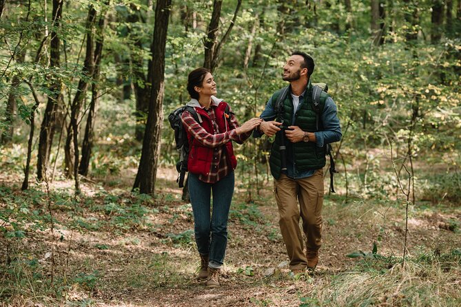 Blue Ridge Parkway Waterfalls: Hiking Tour From Asheville