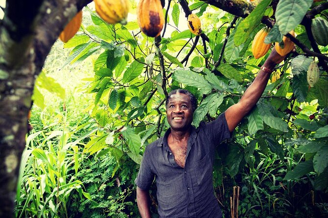 Boti Falls, Botanic Gardens, Cocoa Fam, Umbrella Rock Experience