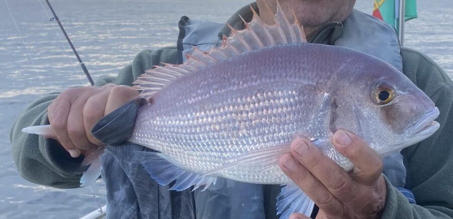 Bottom Fishing Lagos - Overview and Booking Details
