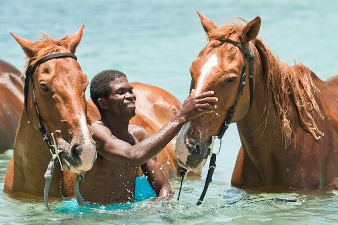Braco Stables From Ocho Rios