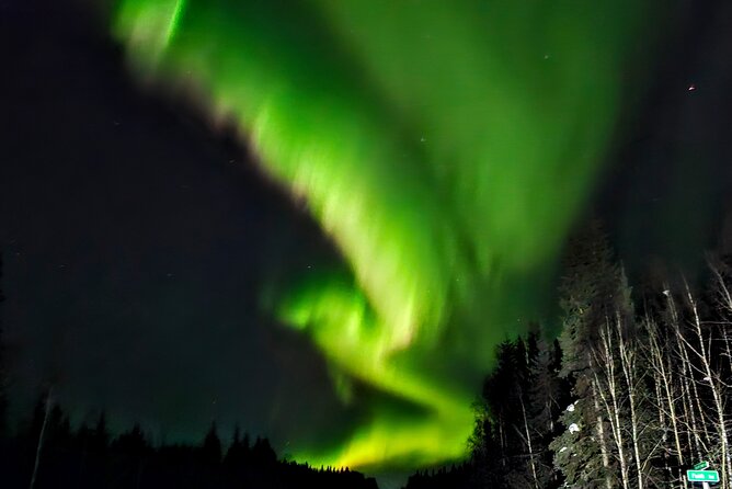 Budget Aurora Borealis Tour, Fairbanks, Alaska