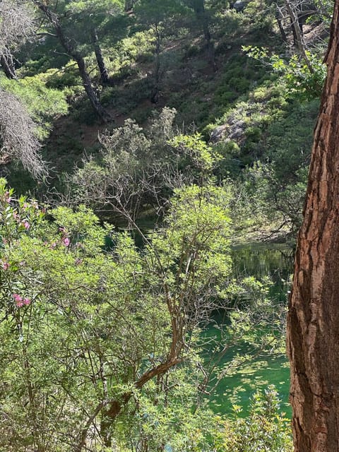 BUTTERFLY VALLEY