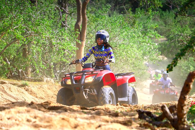 Cactus Combo Combine Two of Your Favorite Desert Tours