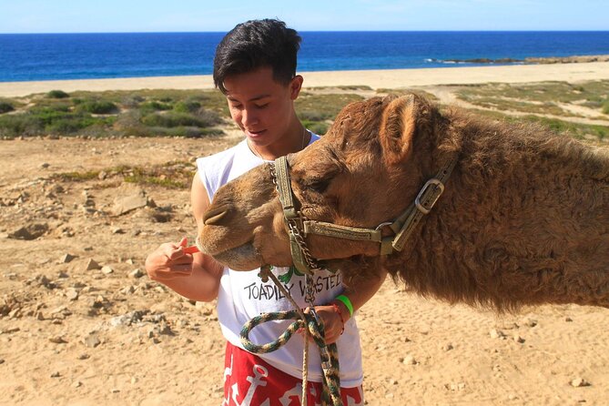 Camel Ride & Encounter at Los Cabos