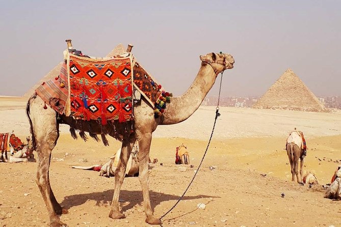 Camel Ride Trip Around Giza Pyramids During Sunrise Or Sunset