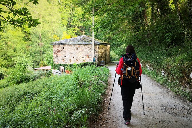Camino De Santiago Last 100 Km Sarria to Santiago De Compostela - Overview of the Camino De Santiago