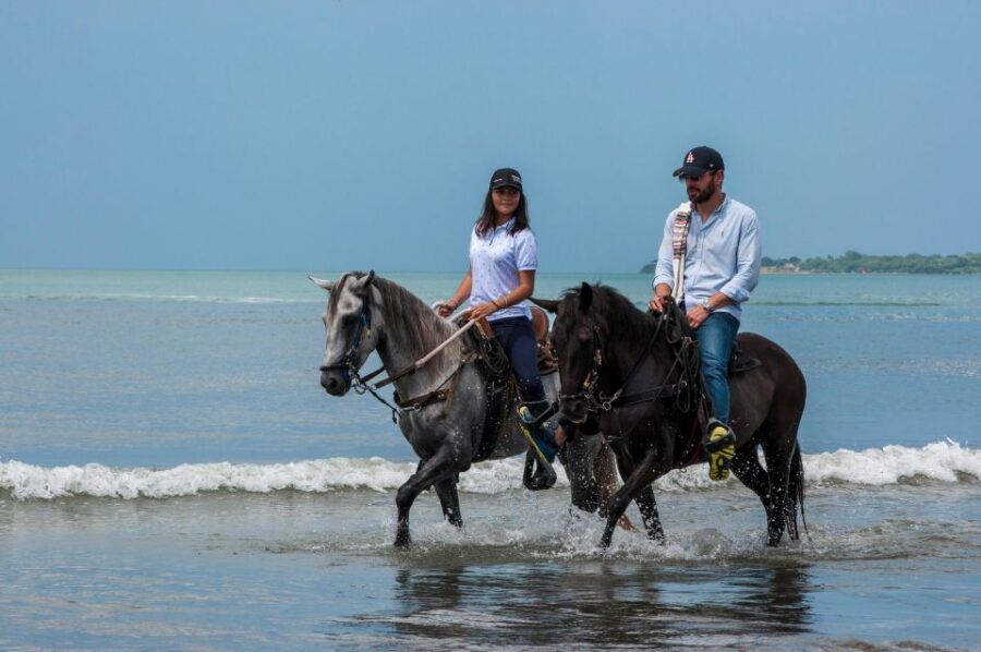Cartagena: Beach Horse Ride and Colombian Horse Culture - Activity Overview