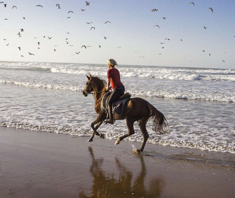 Cartagena: Horseback Riding on the Beach at Sunset