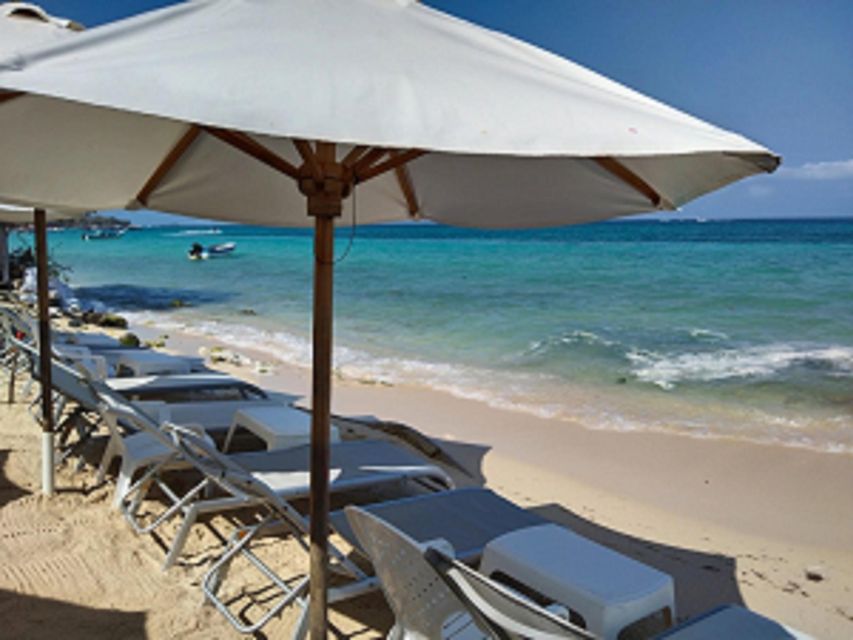 Cartagena: LUMINOUS Plankton, Playa Blanca, Lunch and Snack