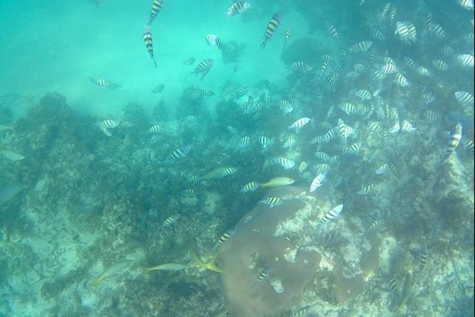 Catamaran Cruise and Beach Lunch - All-Inclusive Catamaran Adventure