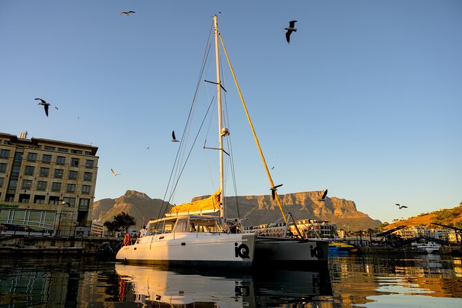 Catamaran Cruise in Cape Town - Catamaran Cruise Overview