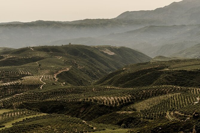 Chania Luxury Jeep Safaris: Secrets of Wine & Olive Oil Tastings - Discovering Cretan Olive Oil Secrets