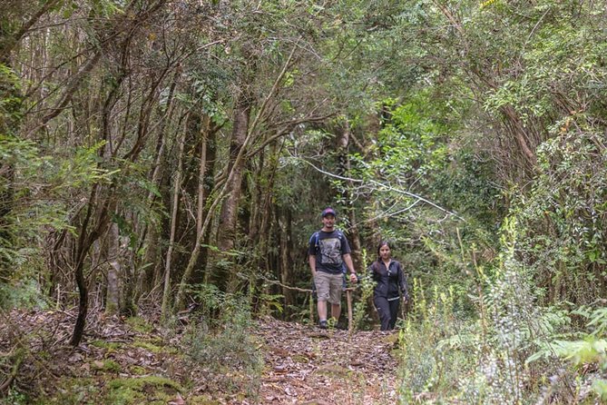 Chiloe National Park and Chonchi Darwin Route