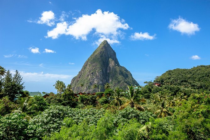 Chocolate Decadence St.Lucia