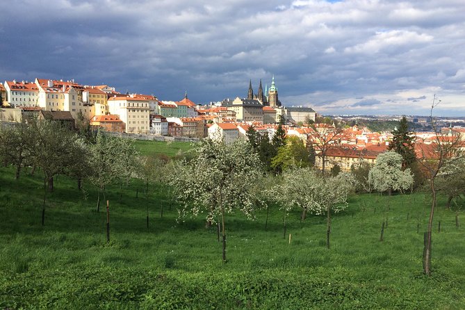 City Tour to Prague Castle