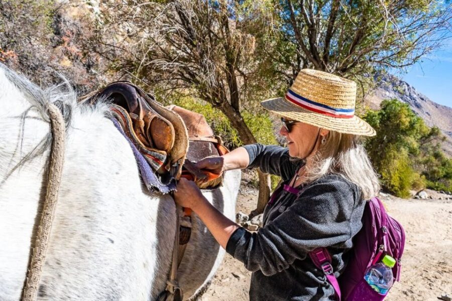 Cochiguaz: Horseback Riding, River and Mountain Range - Activity Overview
