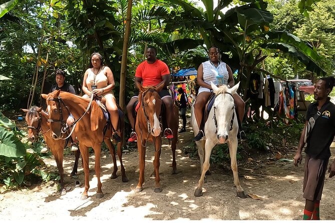 Combo Tour: Dunns River Falls And Horse Back Riding