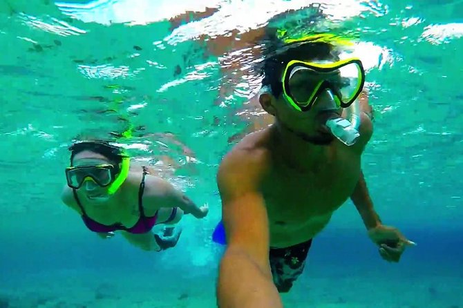 Cozumel Snorkeling Adventure Full Day Tour