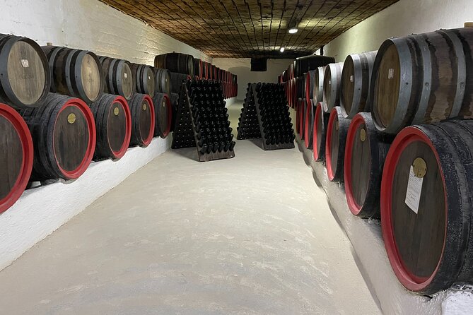 Cricova Cellars – Visit and Tasting Session