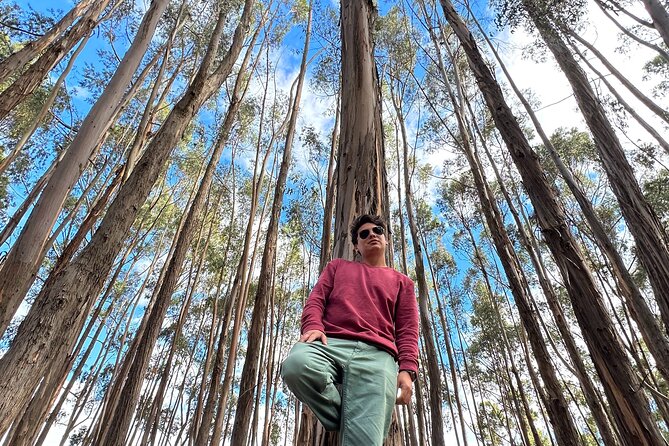 Cusco: Archeological Sites Tour and Forest Photo Experience