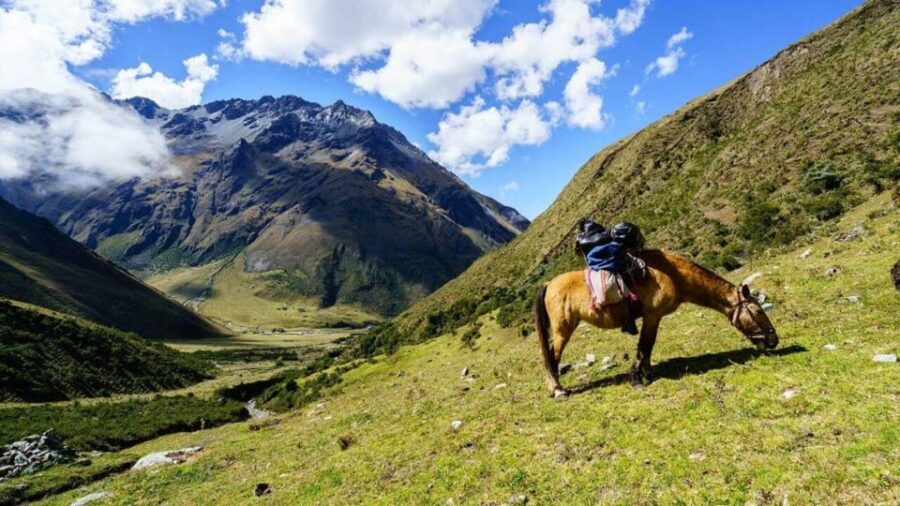 Cusco Machu Picchu Tour in 7 Days 6 Nights - Tour Overview