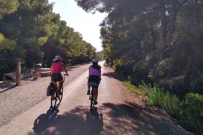 Cycle Benicassim Coast and Disused Train Line Via Verde