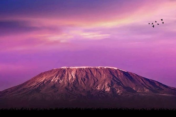 Day Hike to Mount Kilimanjaro (Mandara Hut) - Overview and Details