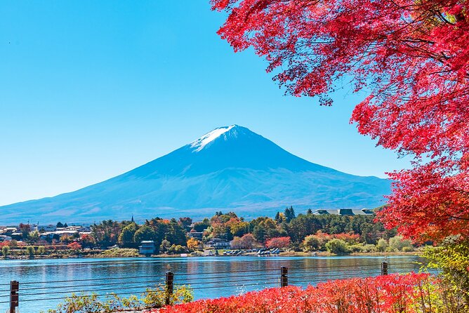 Day Tour at Mt. Fuji, Kawaguchi Lake and Oshino Hakkai in Tokyo
