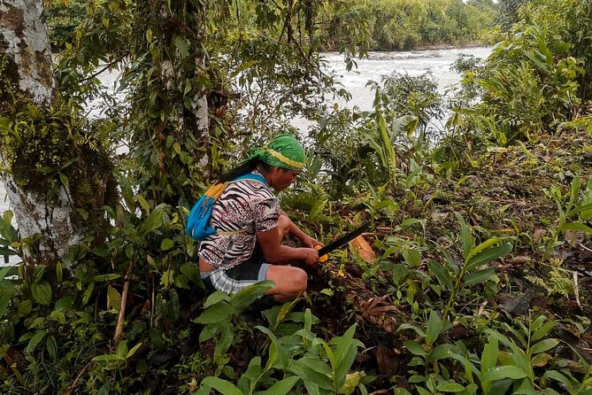 Day Tour in the Puyopungo Amazon Rainforest - Rainforest Exploration Experience
