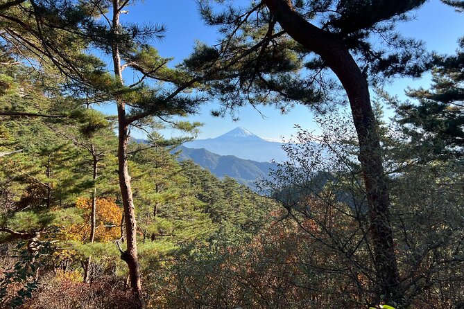 Day Trip Shosen Valley From Tokyo - Overview of Shosen Valley