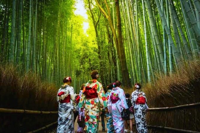 Day Trip to Arashiyama Nara Yasaka Shrine Hanamikoji From Osaka