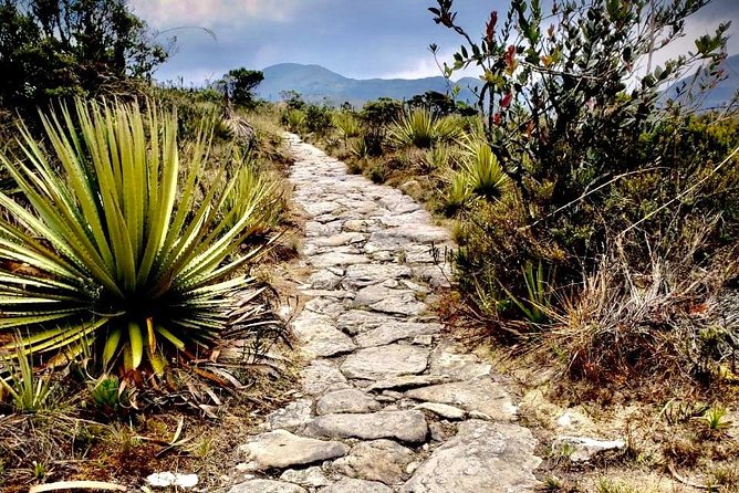 Day Trip to El Verjon Paramo, Moorland—Matarredonda Park