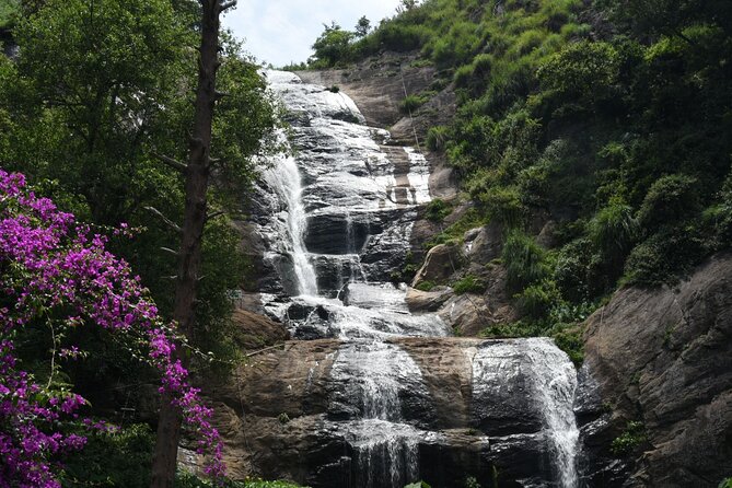 Day Trip to Kodaikanal (Guided Sightseeing Tour by Car From Madurai)