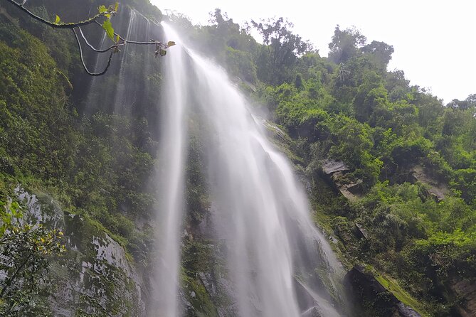 Day Trip to La Chorrera Park—Hiking Experience to Highest Waterfall in Colombia