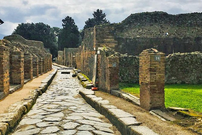 Day Trip to Pompeii From Naples